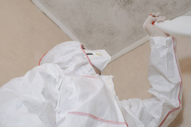 Best Black Mold Removal  in Sparta, TN